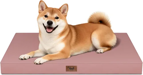 Miniatura 42 de Cama ortopédica de felpa para perros y cachorros medianos, camas impermeables para perros de 30 x 20 pulgadas con funda extraíble lavable, tapete
