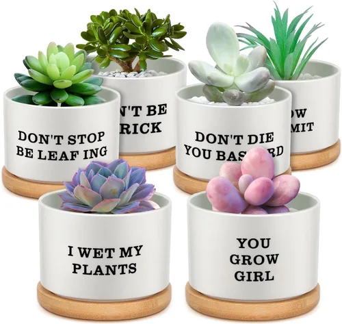 Miniatura 8 de 6 piezas de juego de regalos con versículos de la Biblia cristiana, gracioso juego de macetas para plantas suculentas con bandeja de bambú, maceta