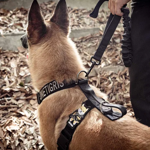 Miniatura 3 de Arnés ligero sin tirones para perro, perfecto para caminar y senderismo con perros pequeños a grandes (negro, XL)