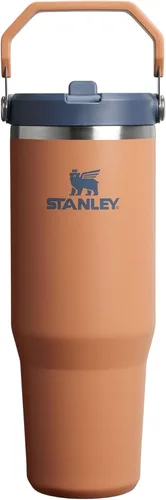 Miniatura 117 de Stanley IceFlow - Vaso con pajilla abatible con asa, de 20 onzas, tapa giratoria y popote abatible, botella de agua resistente a fugas, acero