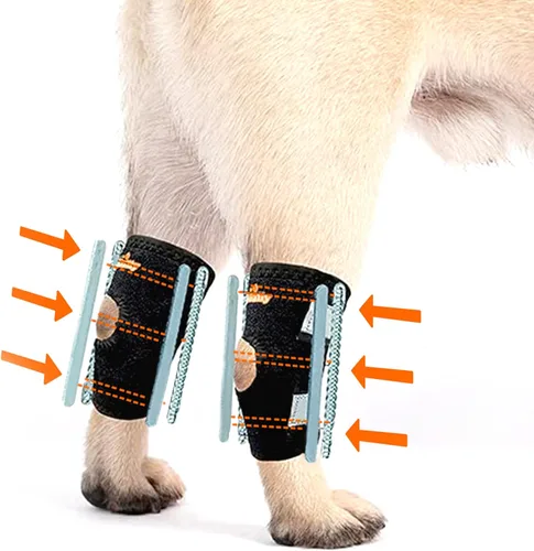 NeoAlly - Soporte corto 3 en 1 para pierna trasera, soporte de pierna de perro para pierna trasera con inserciones rígidas y de resorte, soporte de