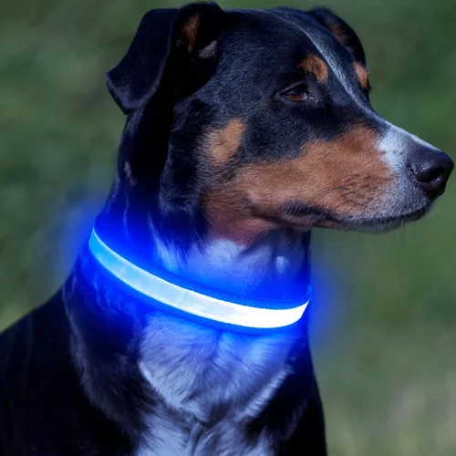 Miniatura 5 de Vizpet Collar para perro con luz LED, ajustable, recargable por USB, superbrillante, luz de seguridad brillante para perros (mediano, azul)