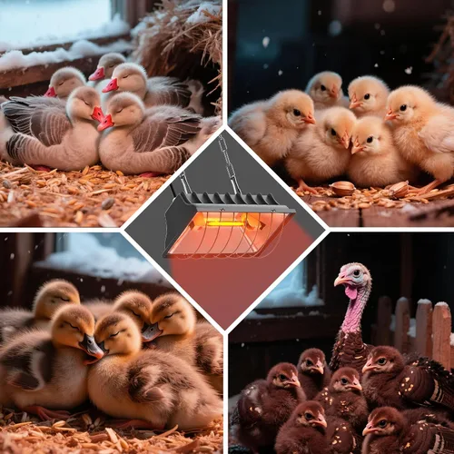 Miniatura 6 de Lámpara de calor para pollos, lámpara de calor halógena de pollo para aves jóvenes, calentador de gallinero y criador infrarrojo seguro, control