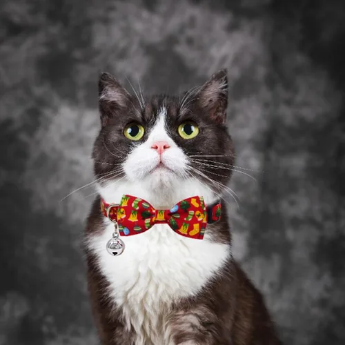 Miniatura 6 de Paquete de 2 collares navideños para gatos con pajarita y campana, collares de gatito con corbatín de seguridad, rojo y verde