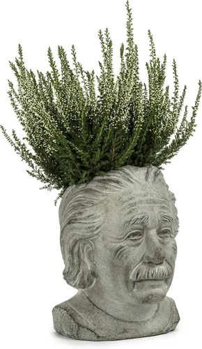 Miniatura 3 de Abbott Collection - Maceta pequeña con cabeza de Einstein, color gris (4 x 8 pulgadas)