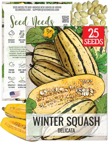 Miniatura 28 de Seed Needs Semillas de calabacín para plantar calabaza de verano Black Beauty, sin OMG, reliquia y sin tratar, rendimientos prolíficos de deliciosos