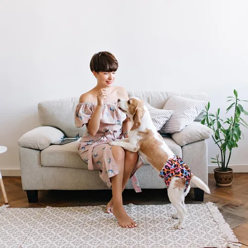 Miniatura 2 de Pañales reutilizables para perras femeninas, almohadillas lavables para orina de cachorro con correa ajustable para perros pequeños en calor e