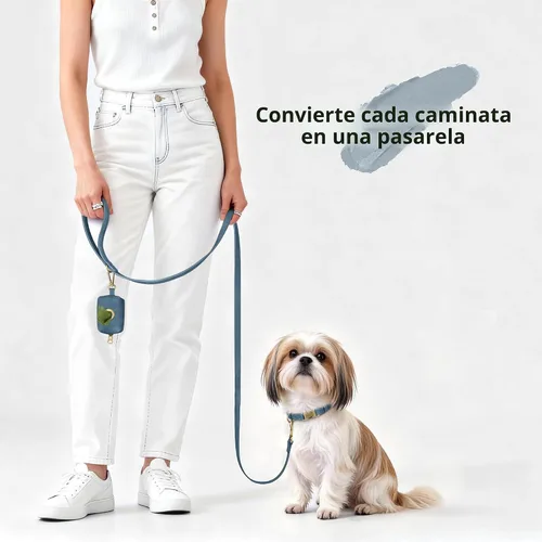 Miniatura 4 de Didog Collar de perro de piel sintética suave, elegante collar de liberación rápida para perros pequeños, fácil de limpiar, collar ajustable