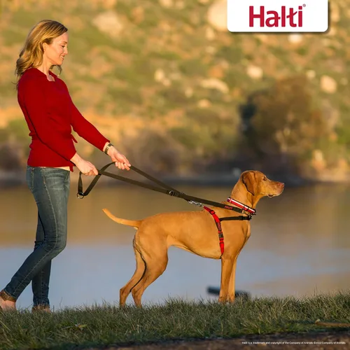 Miniatura 6 de Halti Arnés de control frontal tamaño mediano y correa de entrenamiento Halti tamaño grande, paquete combinado negro – evita que tu perro tire