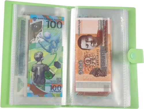 Carpeta de ahorro de dinero, fundas transparentes para monedas de 50 páginas, soportes portátiles para dinero para coleccionistas, titulares de