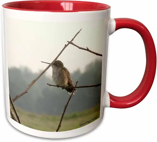 Miniatura 8 de 3dRose Female Hummingbird 11oz Two-Tone Black Mug