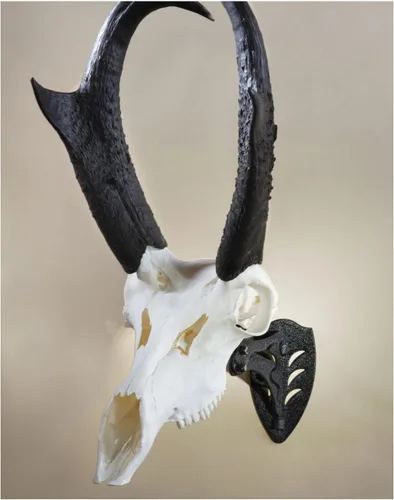 Miniatura 6 de Hunters Specialties Placa de montaje de trofeo H.S. Strut de tres barbas fácil de montar con acabado de roble natural, color marrón y Skull Hooker