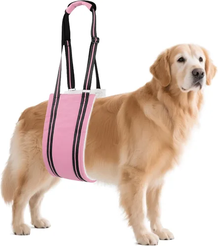 Miniatura 11 de AIITLE Eslingas mejoradas para perros pequeños – Arnés de soporte para patas traseras y cadera, ayuda de elevación de rehabilitación súper suave