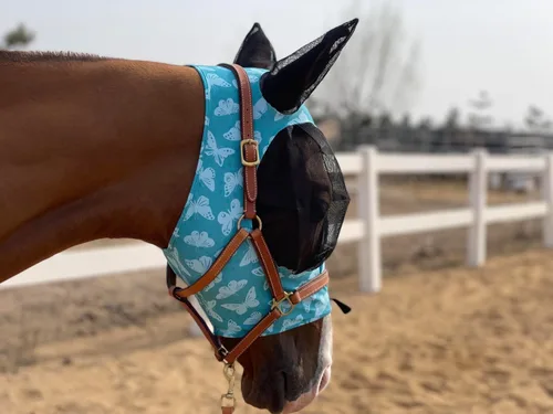 Miniatura 13 de Máscara para caballo Tgw Riding, con orejas, con agarre extracómodo, de malla suave, Azul, M Pacific Blue