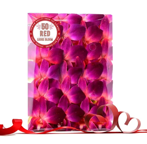Miami Fresh Orchid Flower OrchidClub USA Sunne Tropical Loose Bloom Head DIY Lei Food Drink Decor RED (50 rojo VALENTÍN)