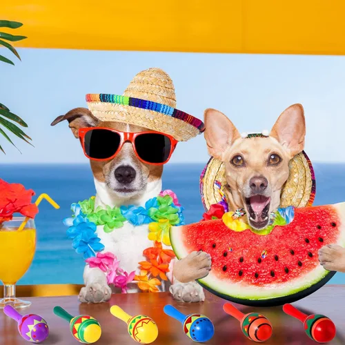 Miniatura 7 de 12 maracas de madera de colores y 6 sombreros de mini sombrero, recuerdos de fiesta mexicana y suministros para carnavales