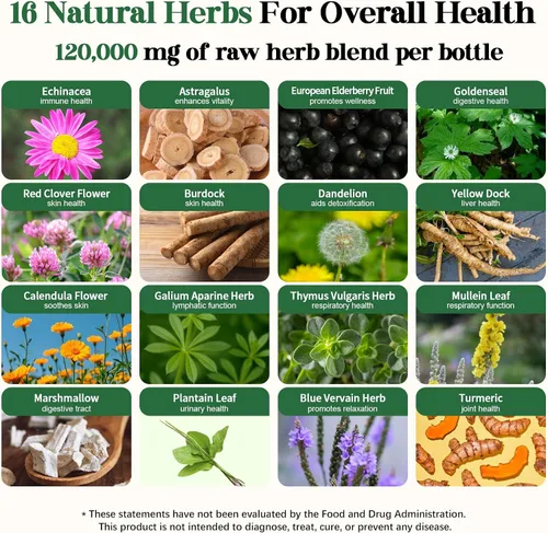 Miniatura 5 de Migcopat Gotas liposomales de drenaje linfático 26 en 1, con equinácea, cúrcuma, saúco, diente de león, vitaminas y verbascum para pulmones, sistema