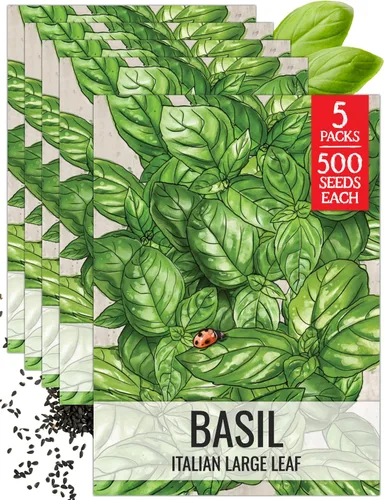 Miniatura 25 de Seed Needs Semillas de albahaca para plantar hierbas de albahaca tailandesa, sin OMG y semillas de hierbas sin tratar para cultivar un jardín