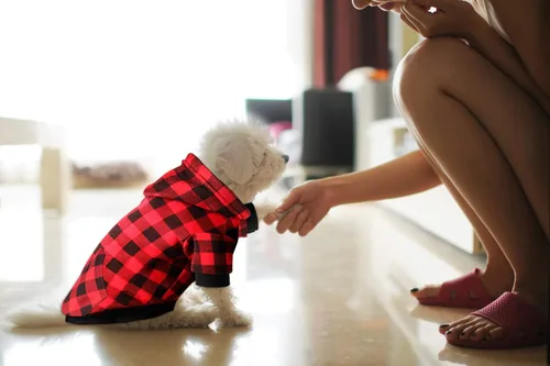 Miniatura 5 de Sudadera con Capucha a Cuadros Rojos para Perros, Ropa para Mascotas con Capucha y Bolsillo (XS)