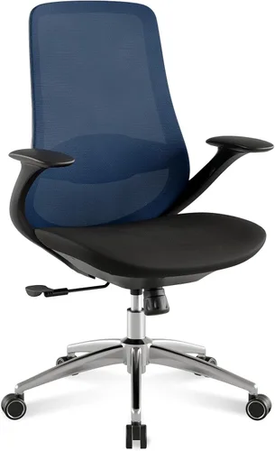 Miniatura 10 de BV Silla de oficina ergonómica, silla de escritorio ejecutiva con respaldo alto con reposabrazos 2D, soporte lumbar ajustable, silla de computadora