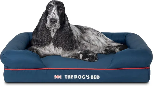 Miniatura 25 de The Dog's Bed - Cama ortopédica de espuma viscoelástica para perros medianos, colchón de soporte de alta densidad, entrada frontal baja, funda negro