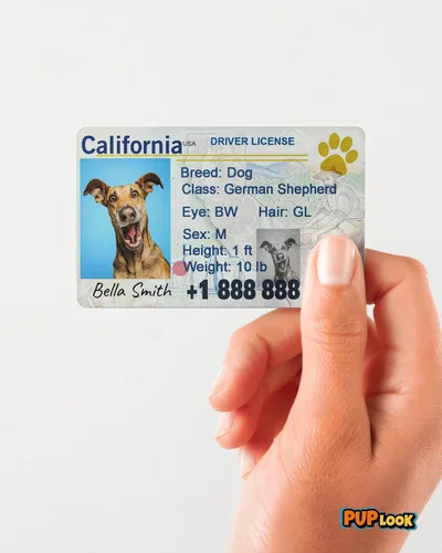 Miniatura 7 de Etiquetas de perro personalizadas para mascotas Personalizadas para mascotas Etiquetas de perro de silicona Etiqueta de perro especial Etiqueta