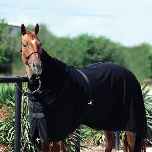Miniatura 2 de CLASSIC EQUINE Enfriador de forro polar Premium, Color: Negro, Tamaño: M (CEPFCBKM)