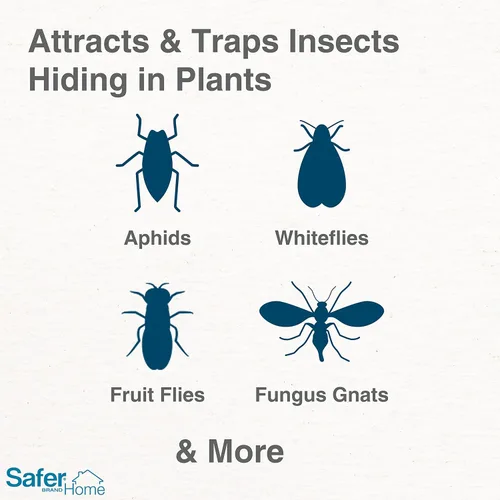 Miniatura 2 de Trampas adhesivas Safer Brand Home SH5026 para plantas de interior - 16 trampas incluidas - Controla áfidos, moscas blancas, moscas de la fruta