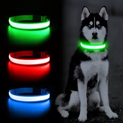 Miniatura 2 de YFbrite Collar de perro LED ajustable ultraligero, collares de perro con luz recargable que brilla en la oscuridad, collares de visibilidad y Verde