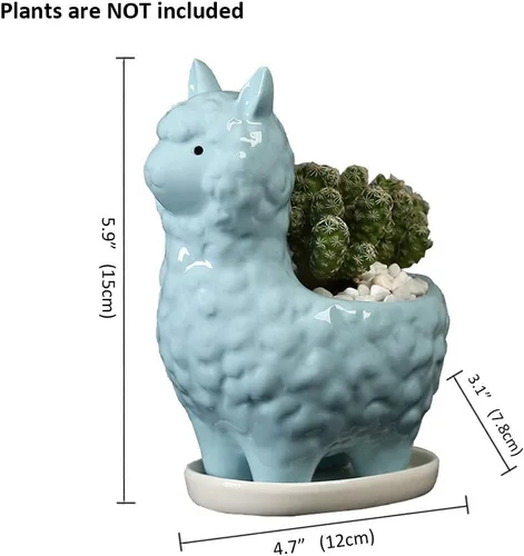 Miniatura 2 de Lependor Bonita maceta para suculentas con bandeja de drenaje, contenedor de cerámica blanca para cactus o flores, soporte para bonsái de alpaca