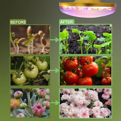 Miniatura 3 de Luces LED de cultivo para plantas de interior, lámpara de cultivo de plantas de espectro completo, E26/E27 10W luz de crecimiento, luz