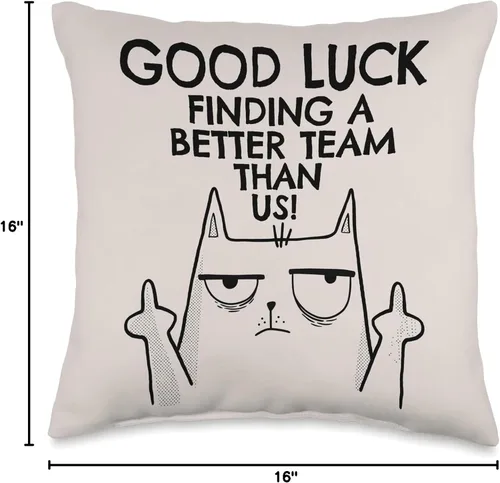 Miniatura 4 de New Job Gifts & Funny Farewell Coworker Ideas New Job Farewell, divertido compañero de trabajo que se va para hombres y mujeres, almohada de 16 x 16