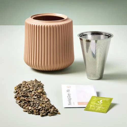 Miniatura 2 de Modern Sprout Kit de cultivo de flores, maceta de cerámica con sistema de cultivo hidropónico para interiores, ideal para decoración de sala