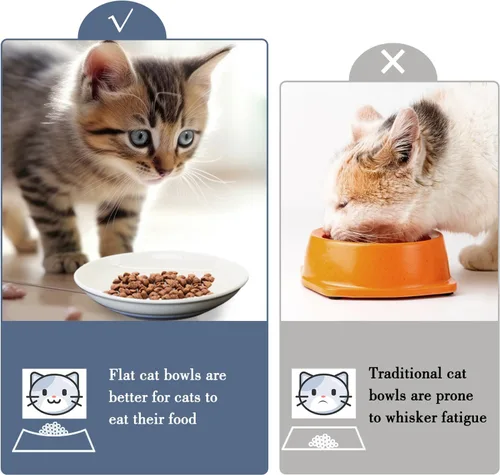 Miniatura 7 de Fhiny Juego de 2 cuencos de comida para gatos, platos de cerámica de 6 pulgadas con parte inferior de silicona, juego de platos para gatos