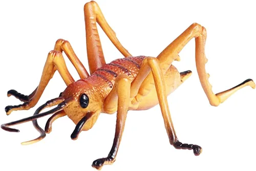 JOKFEICE Figuras de animales realistas, figuras de grillo, juguete de insecto, proyecto de ciencia, decoración de pastel, juguetes educativos