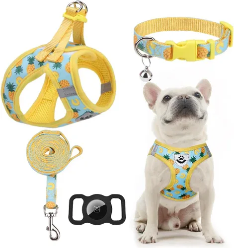 Miniatura 25 de EXPAWLORER Arnés Clásico de Plátanos para Cachorros - Juego de Arnés y Correa para Perros Pequeños - Juego de Collar y Correa para Perros con Azul