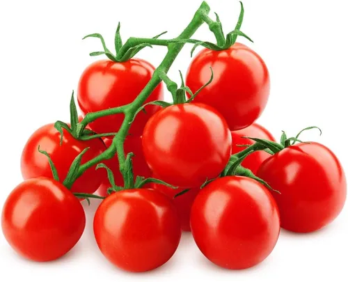 Miniatura 3 de Tiny Tim Semillas de tomate para plantar, más de 100 semillas, fabricadas en EE. UU.