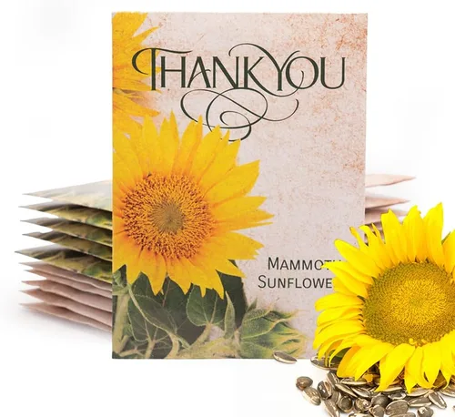 Miniatura 10 de Bentley Seed Co. Paquete de agradecimiento – Mezcla de polinizador de mariposas – 25 paquetes de semillas – Regalo de agradecimiento ecológico
