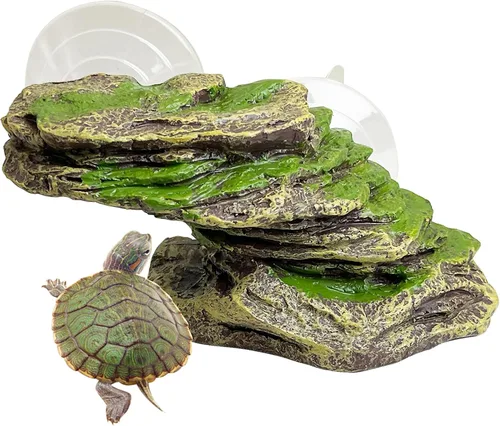 Miniatura 11 de kathson Plataforma para tomar el sol de tortuga, rampa de escalada de tortugas para bebé, esquisto, reptiles, muelle, terraza, piedra, pequeño