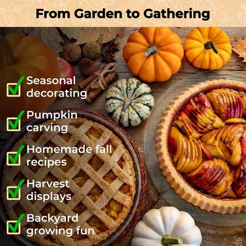 Miniatura 5 de Más de 200 semillas de calabaza para plantar, 10 variedades Jack Be Little, Jack O Lantern, pastel de azúcar, jarrahdale azul, Baby Boo, ideal