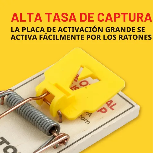 Miniatura 7 de Trampas para ratones Victor M035-12, pedal de plástico, madera FSC de origen sostenible, trampas para ratones de madera, paquete de 12