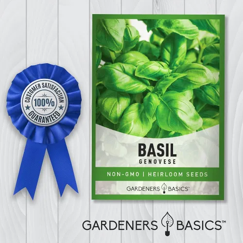 Miniatura 6 de Gardeners Basics Semillas de albahaca genovesa para plantar semillas de hierbas tradicionales sin OMG para el jardín de hierbas caseras son un gran