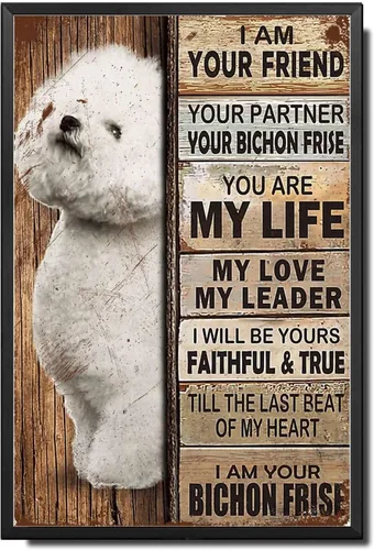 Miniatura 39 de Letrero de Metal Letrero de Hojalata Arte de Pared Vintage I Am Your Friend Regalo para Amantes de Schnauzer Arte de Pared Vintage Impresiones