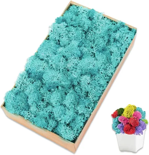 Musgo preservado para manualidades, musgo de reno azul para plantas en maceta, decoración de musgo decorativo para arte de pared, musgo seco (7