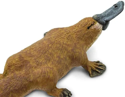Miniatura 3 de Safari Ltd. Figura de ornitorrinco – Figura detallada de plástico de 4.75 pulgadas – Divertido juguete educativo para niños, niñas y niños a partir