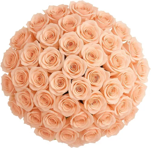Miniatura 21 de GlobalRose Ramo de 100 Rosas Melocotón - Rosas de Origen Responsable Flores Frescas - Ramo Fresco de Flores Seleccionadas a Mano para Graduación