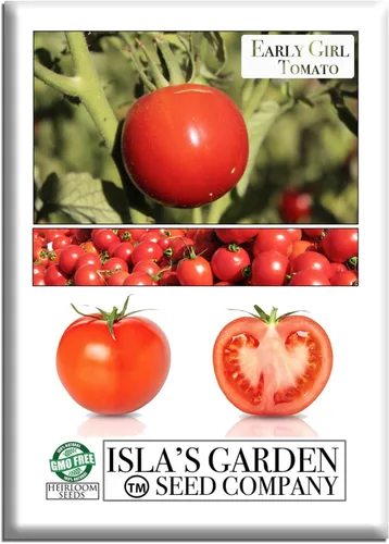 Semillas de tomate Early Girl para plantar, más de 25 semillas por paquete, semillas de jardín de Isla (semillas de jardín de Isla), semillas sin
