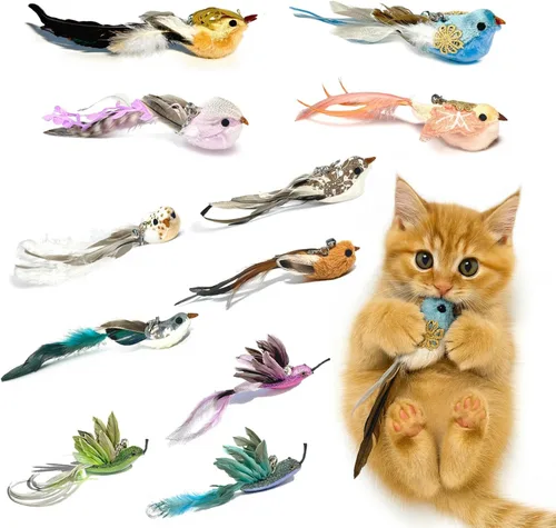 11 piezas de recargas realistas de juguetes de pájaros para gatos – Juguetes de plumas hechos a mano para gatos con campana, accesorios de varita