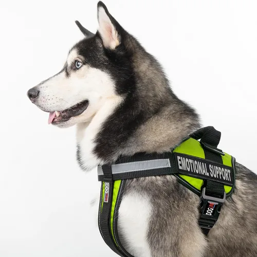 Miniatura 5 de Dogline Unimax - Arnés de chaleco multiusos Unimax para perros y 2 parches de soporte emocional extraíbles con respaldo de velcro
