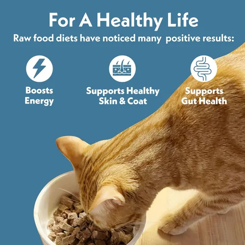 Miniatura 4 de Fresh Is Best Alimento liofilizado de carne de res para gatos, alimento crudo para gatos y felinos adultos, carne de res liofilizada con alto